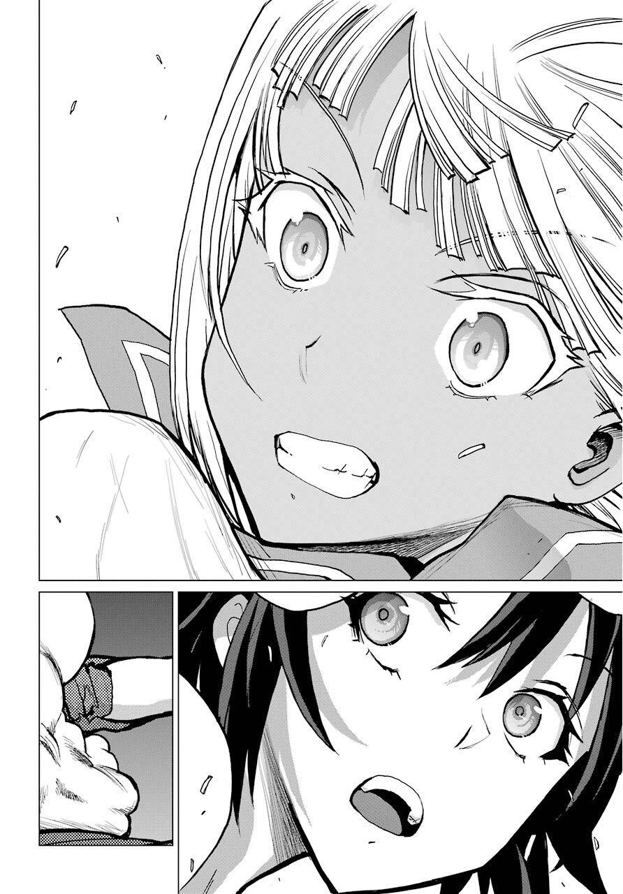 Blattodea Chapter 4 23