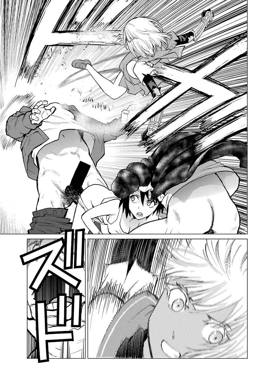 Blattodea Chapter 4 24