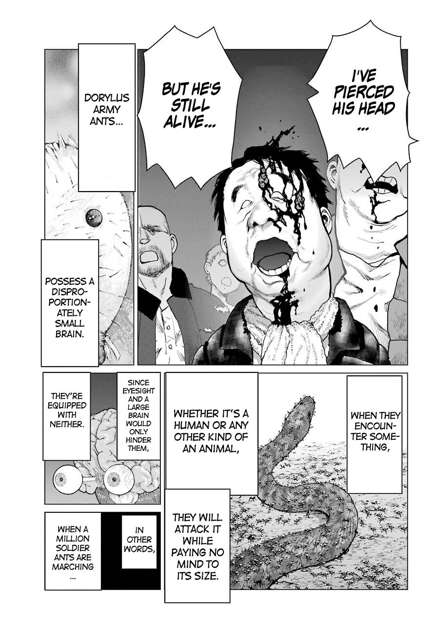Blattodea Chapter 5 23