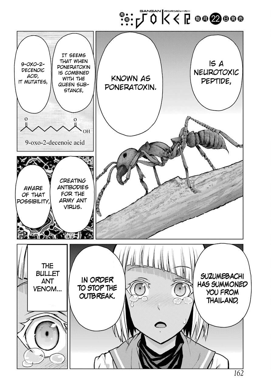 Blattodea Chapter 6 13