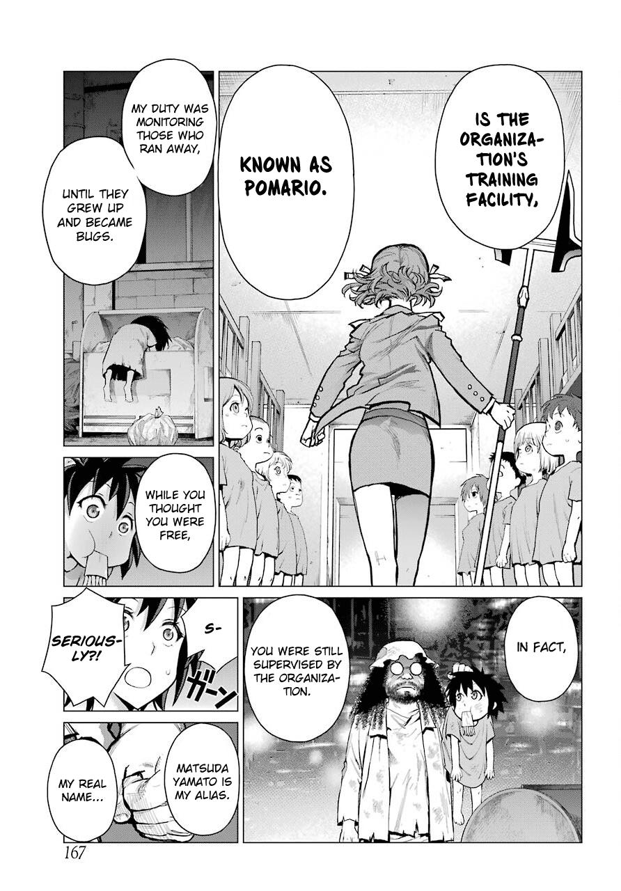 Blattodea Chapter 6 18