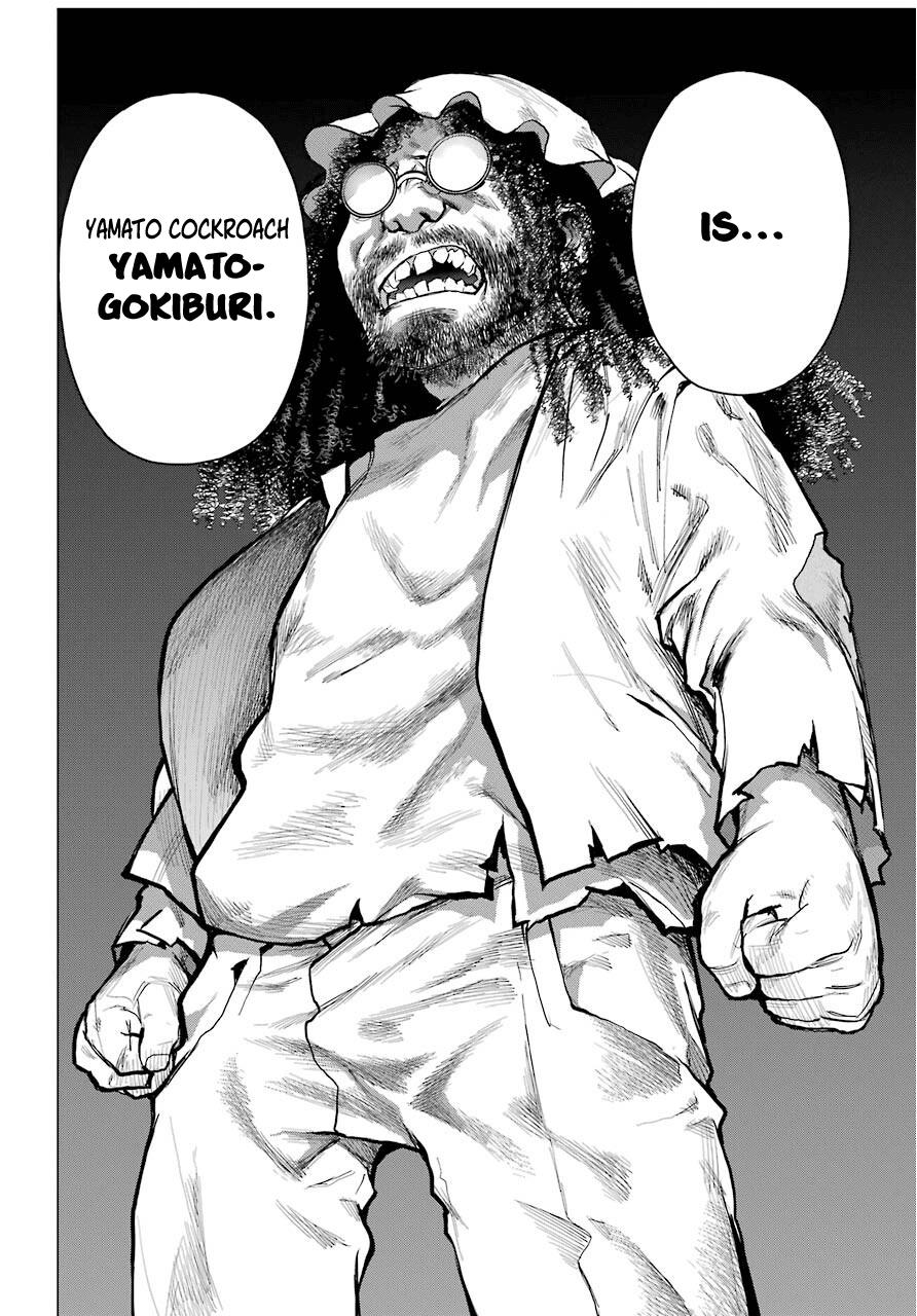 Blattodea Chapter 6 19