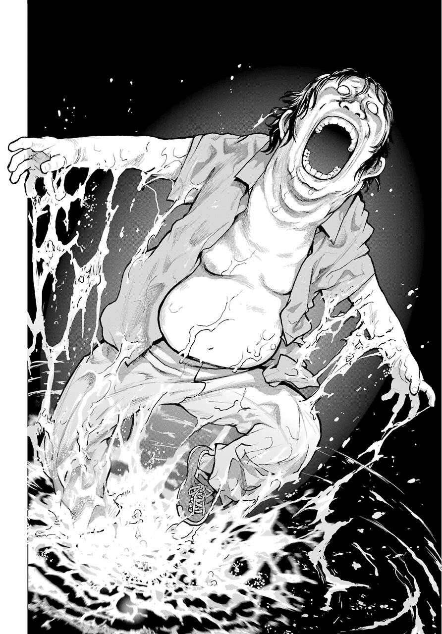Blattodea Chapter 6 23