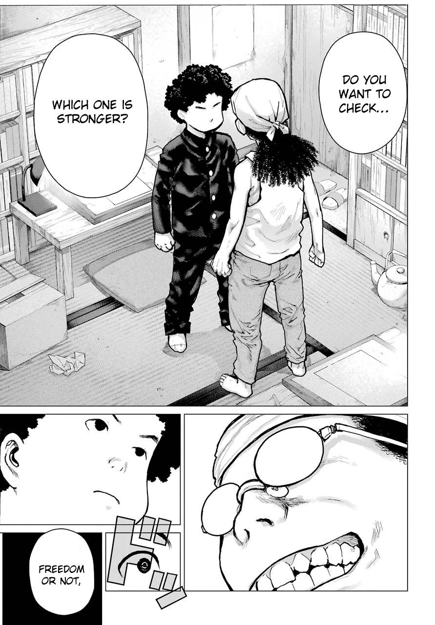 Blattodea Chapter 7 14