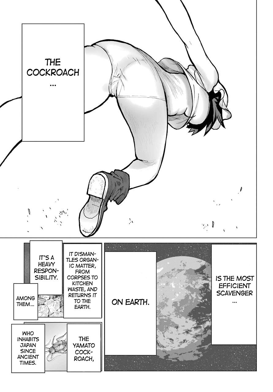 Blattodea Chapter 7 42