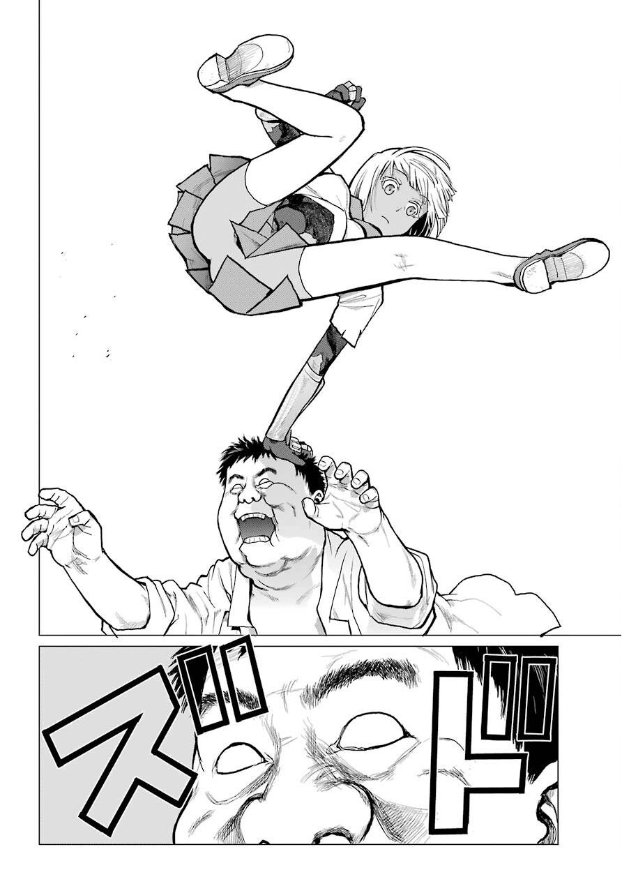 Blattodea Chapter 8 7