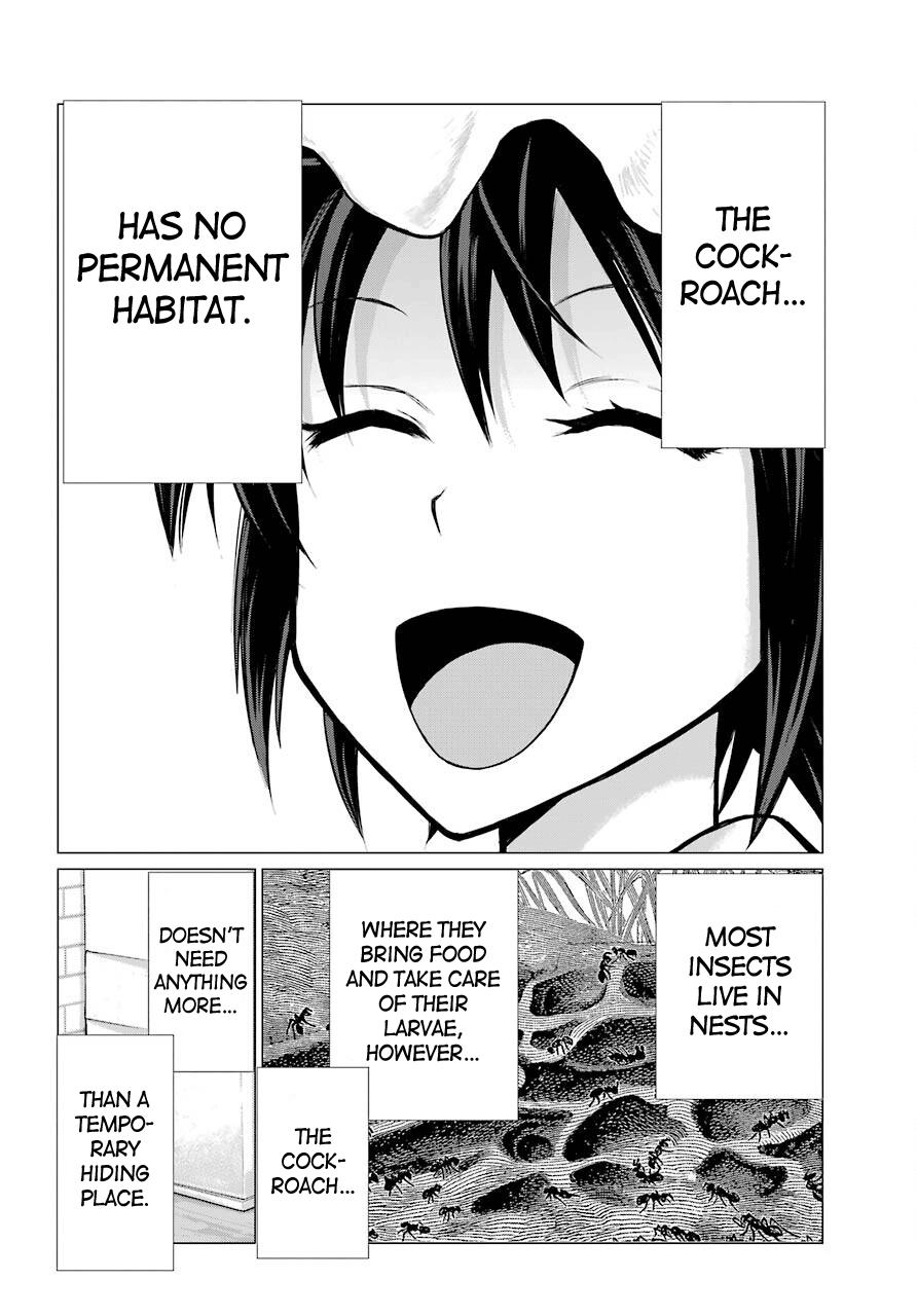 Blattodea Chapter 8 14