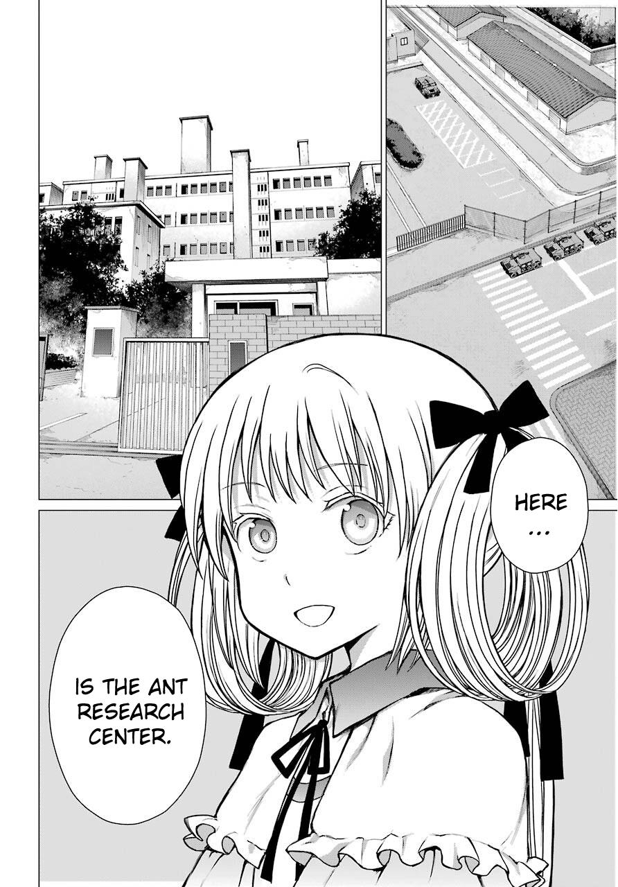 Blattodea Chapter 8 16