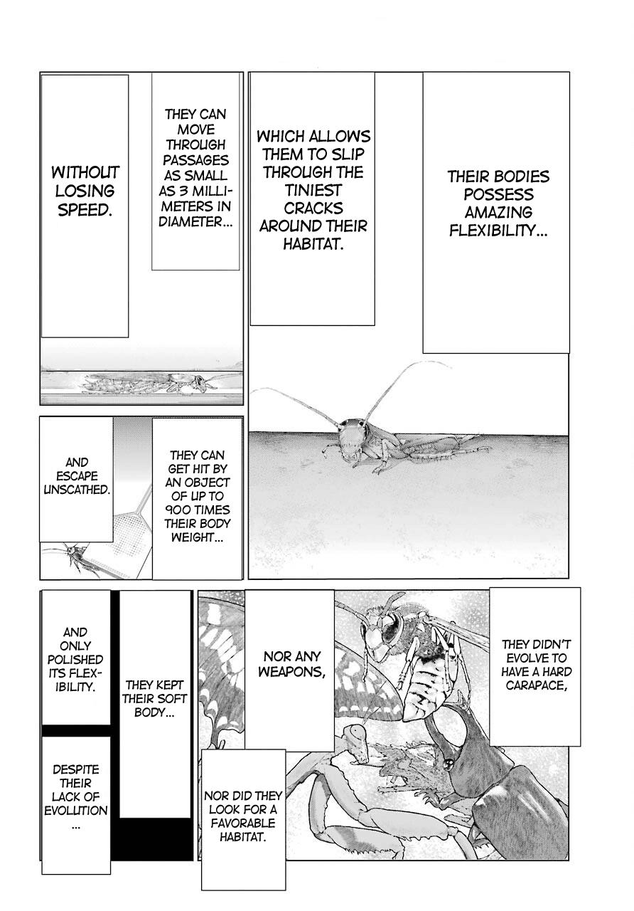 Blattodea Chapter 9 17
