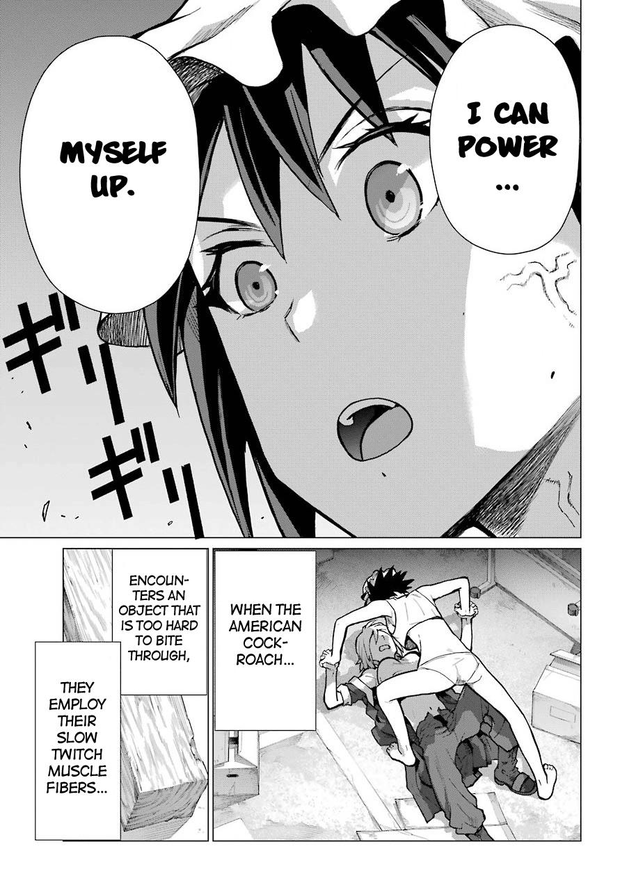 Blattodea Chapter 10 28