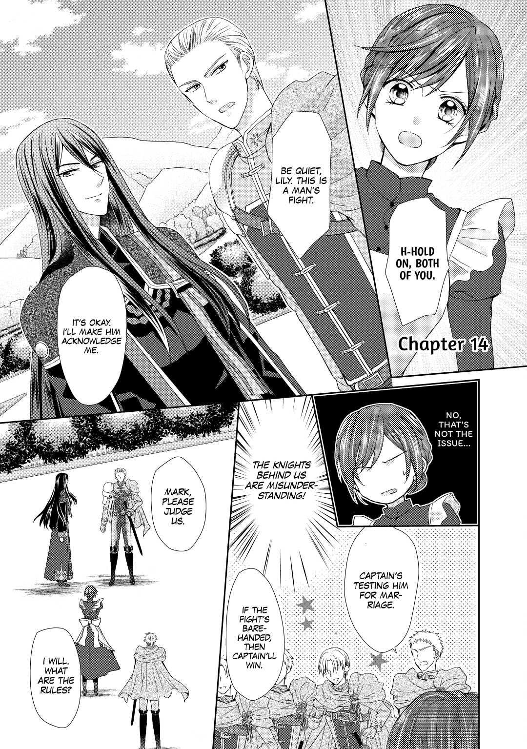 From Maid to Mother Chapter 14 1