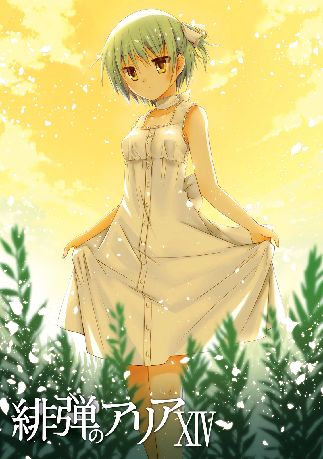 Hidan no Aria Ammo 75 2