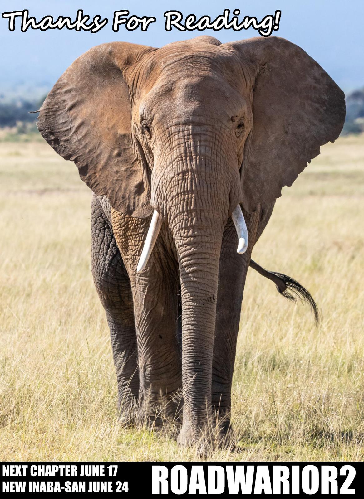 Killing Bites Chapter 98 29