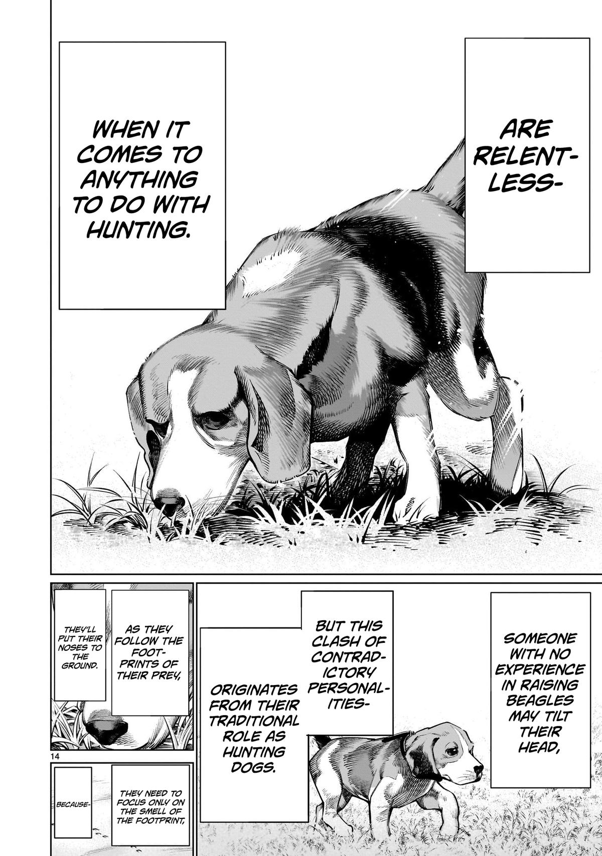 Killing Bites Chapter 114 13