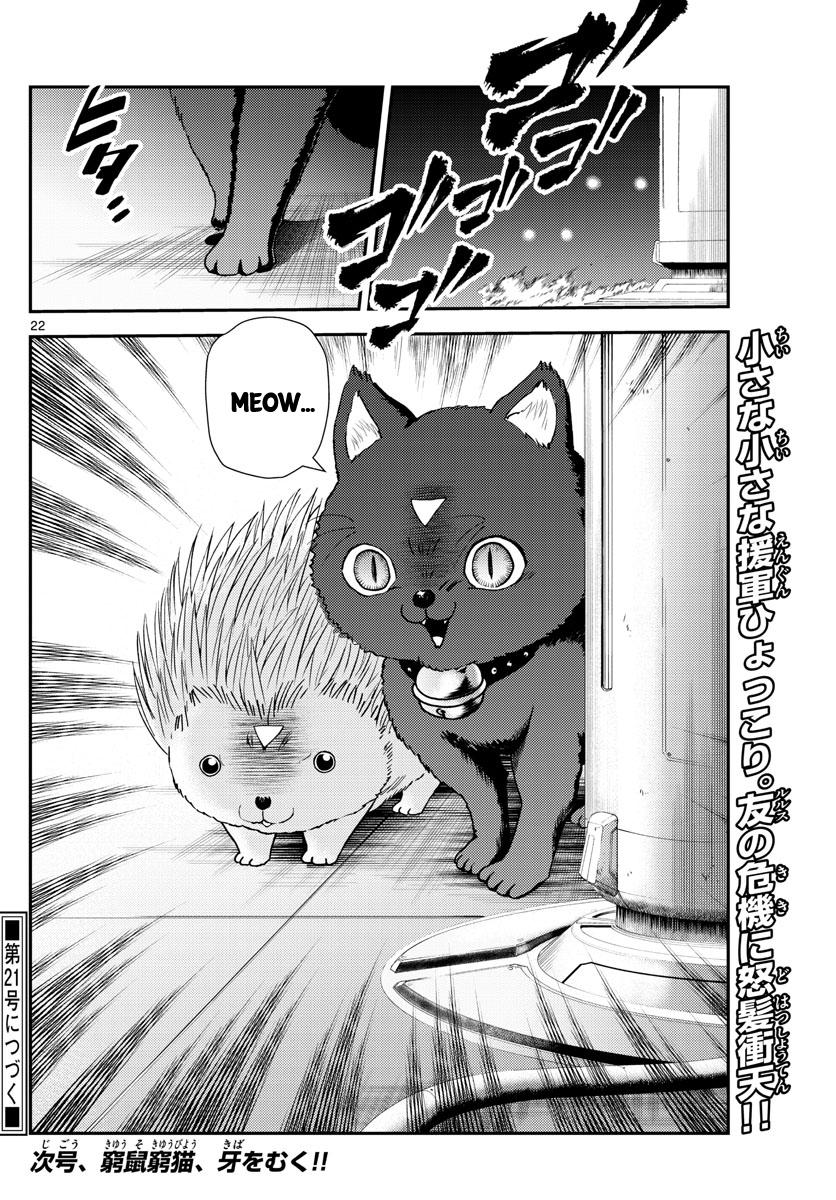 Page 22