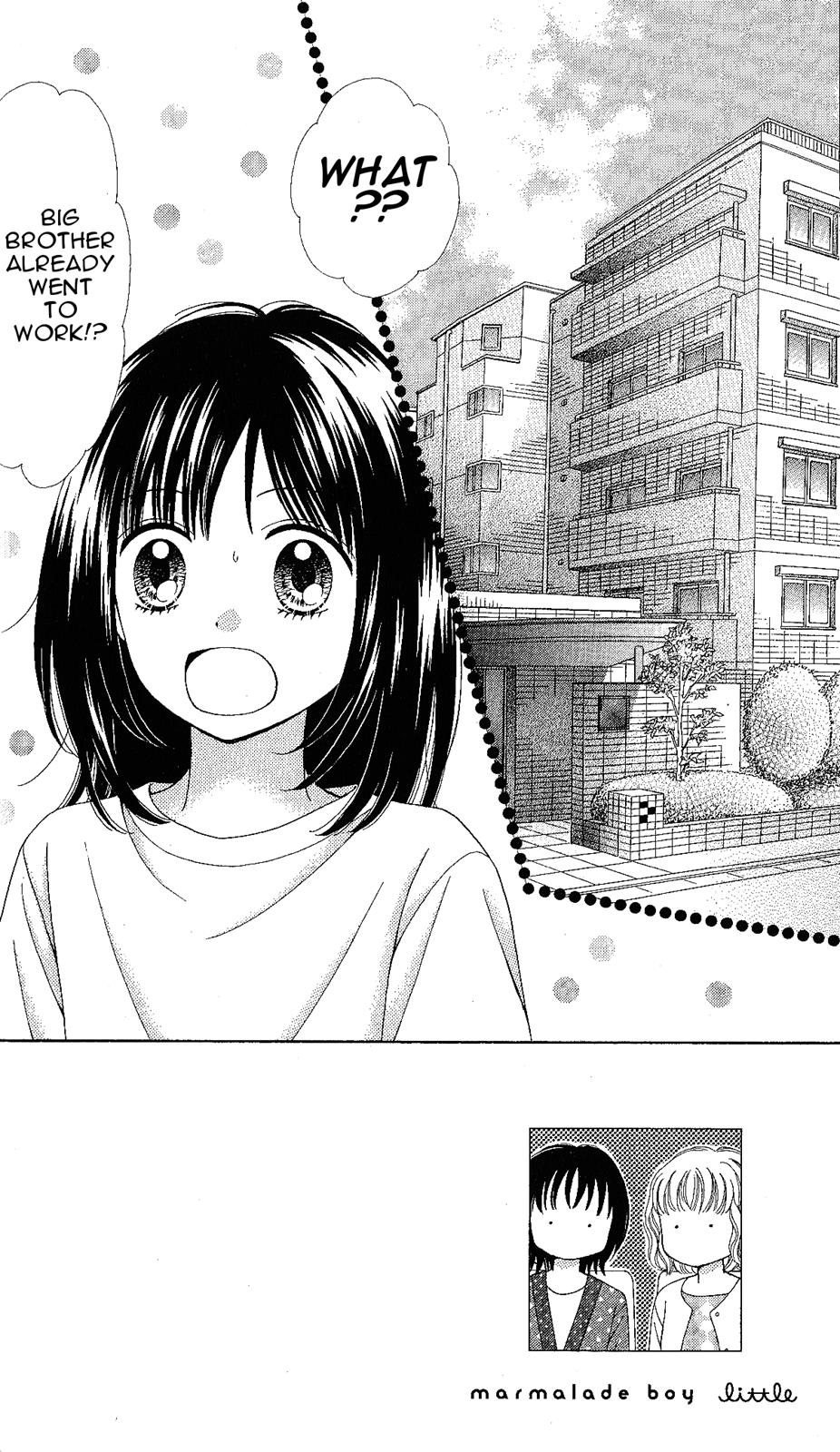 Marmalade Boy Little # 5 2