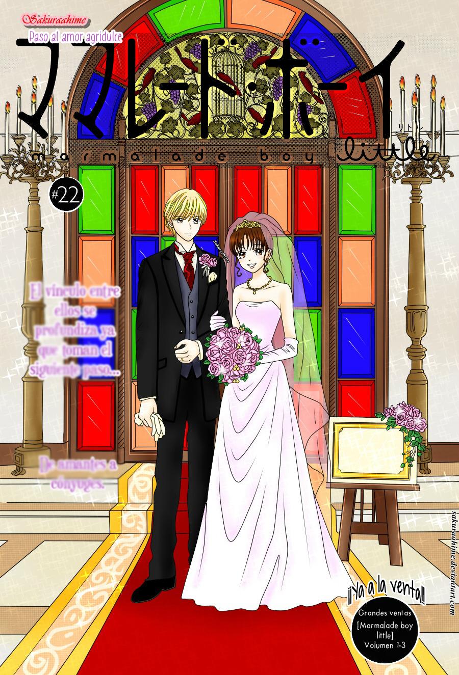 Marmalade Boy Little # 22 1