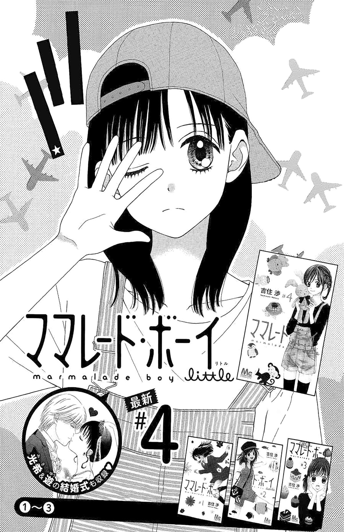Marmalade Boy Little # 27 2