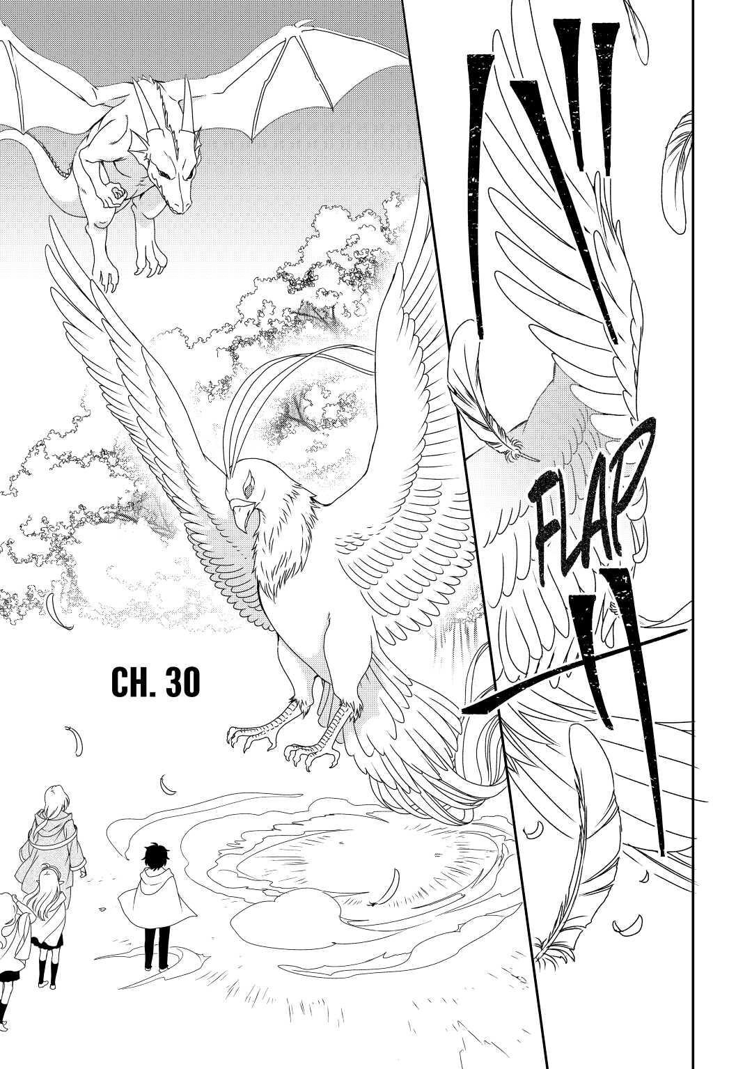 Legendary Wizard Chapter 30 1