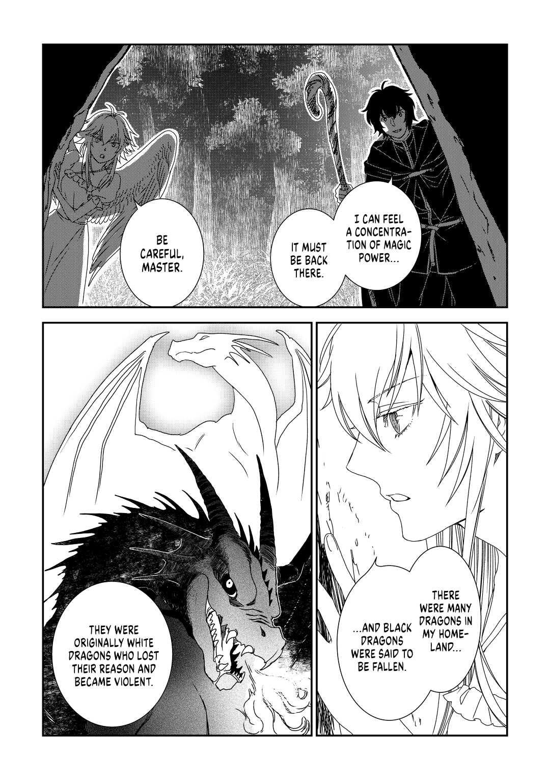 Legendary Wizard Chapter 31 24