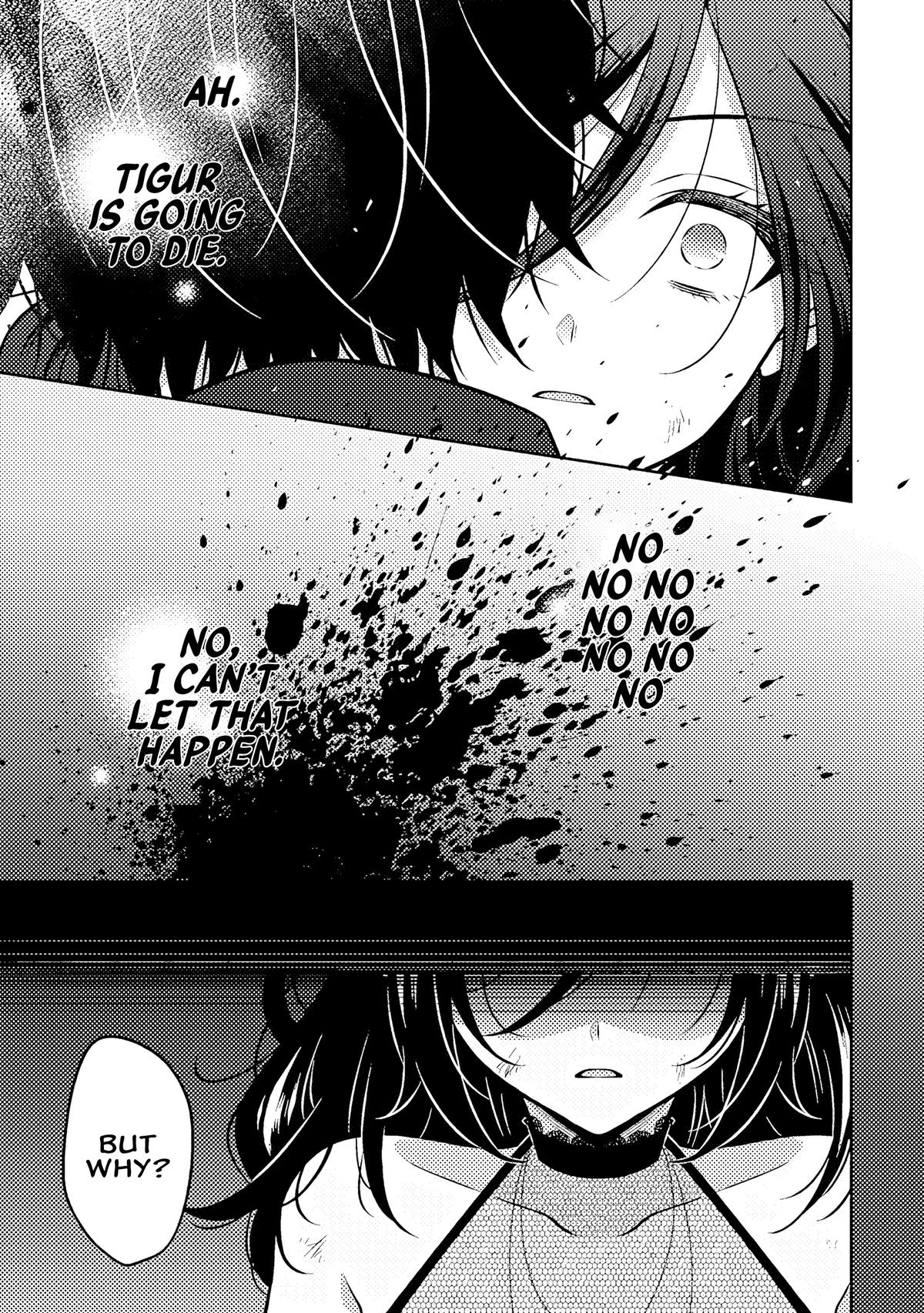 Moto Ansatsusha, Tensei Shite Kizoku no Reijou ni Narimashita Chapter 18.2 12