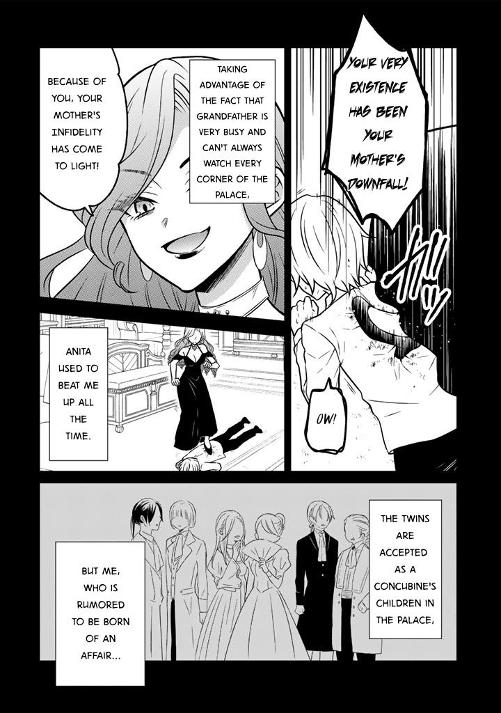 Moto Ansatsusha, Tensei Shite Kizoku no Reijou ni Narimashita Chapter 26 14