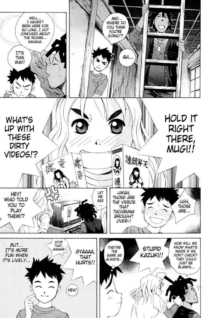 Pastel Miracle 20 13