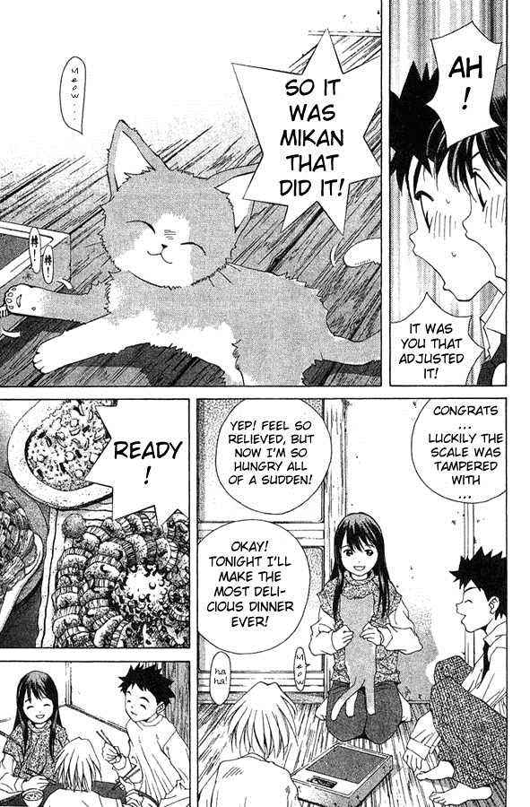 Pastel Miracle 40 19