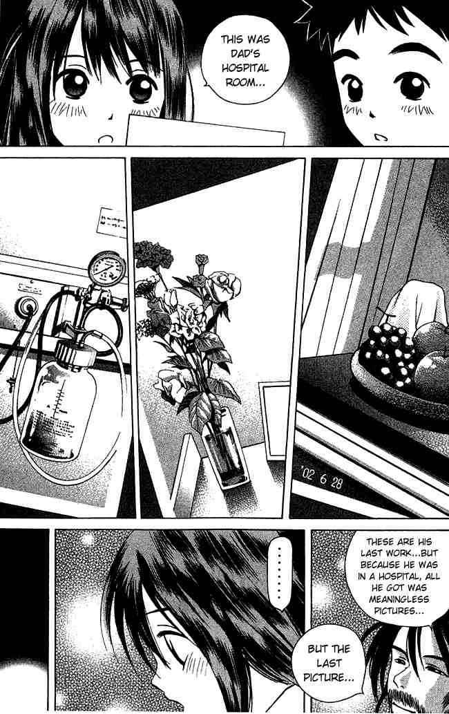 Pastel Miracle 41 17