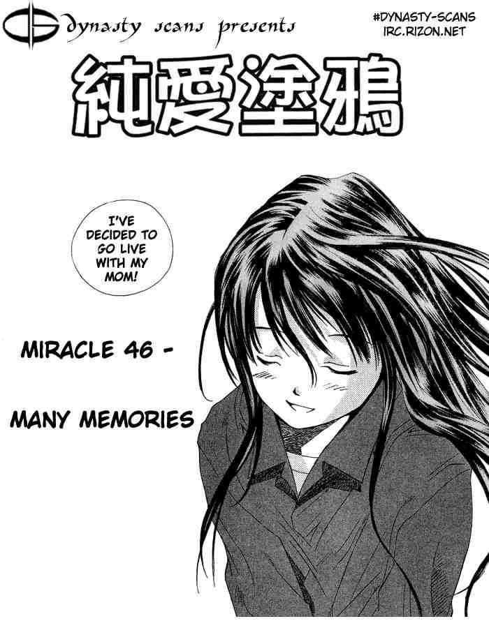 Pastel Miracle 46 2
