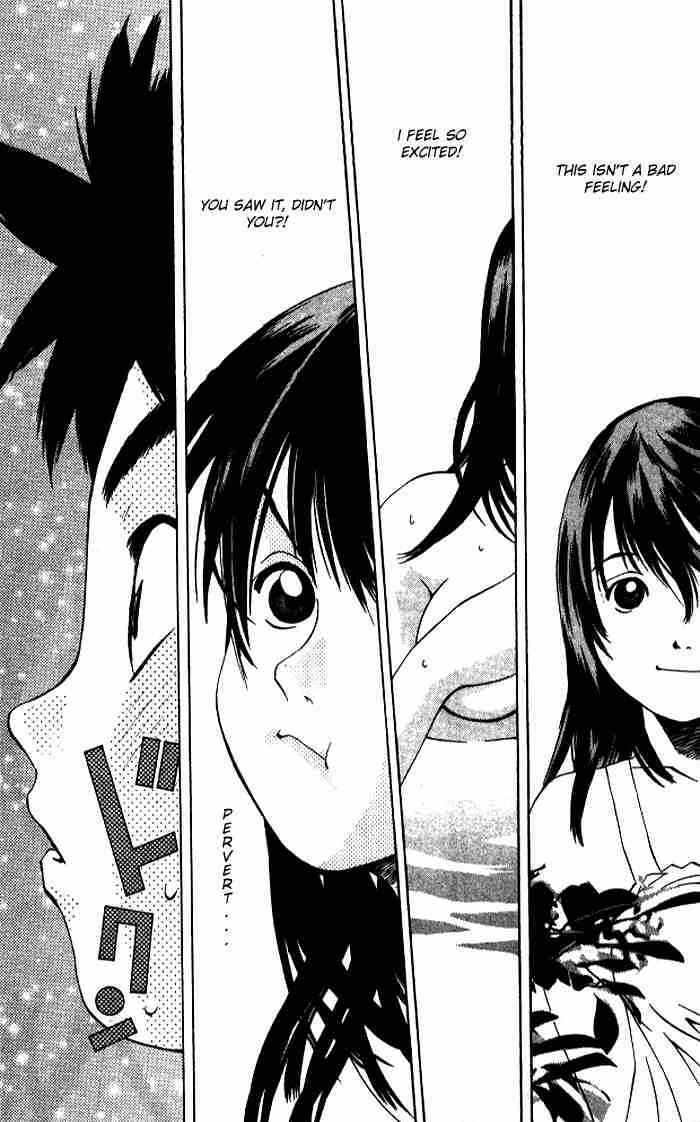 Pastel Miracle 50 48