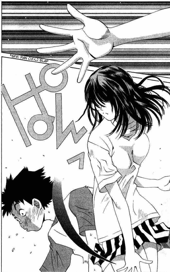 Pastel Miracle 50 51