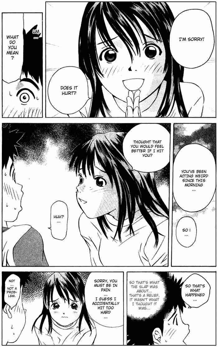 Pastel Miracle 50 53