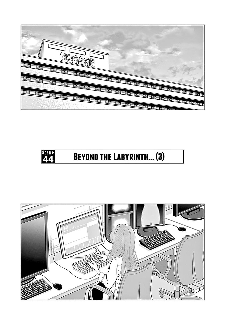 Radiation House Scan 44 2
