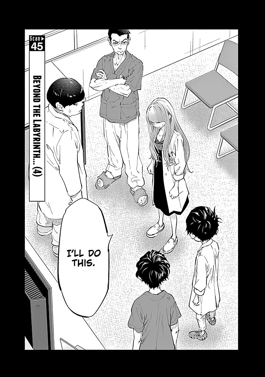 Radiation House Scan 45 2