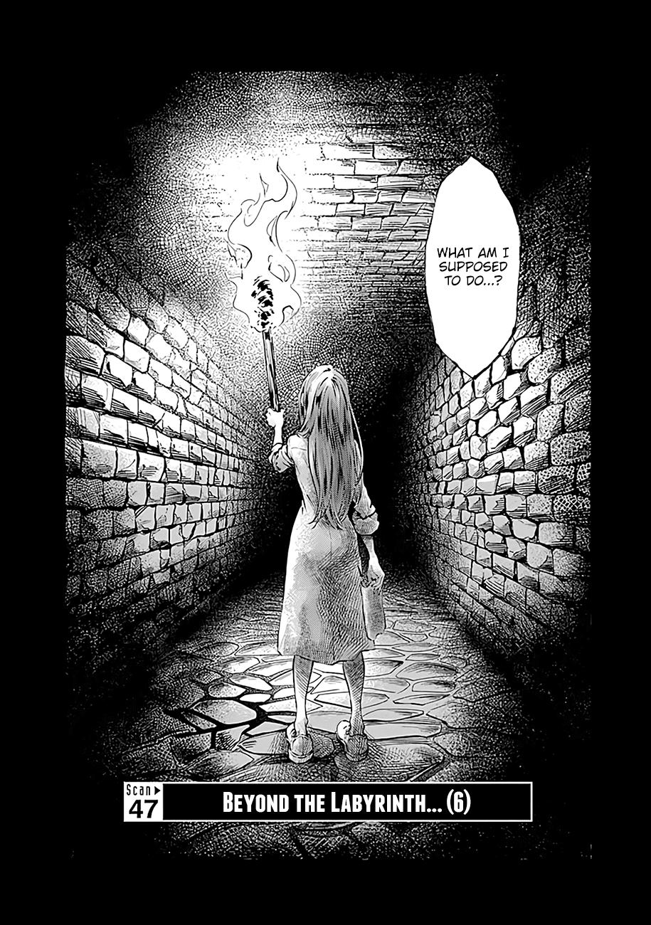 Radiation House Scan 47 3