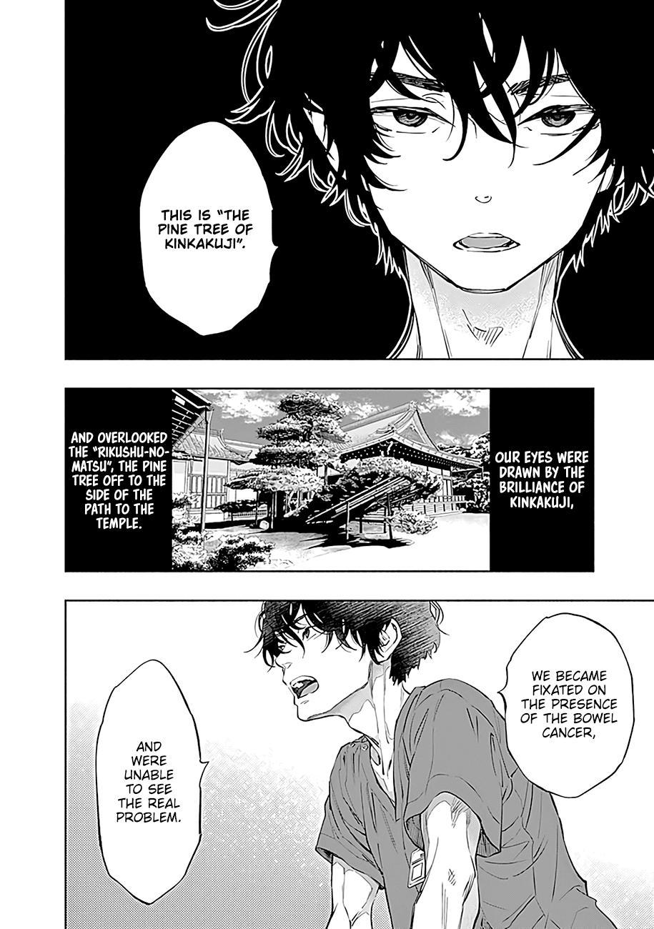 Radiation House Scan 48 9