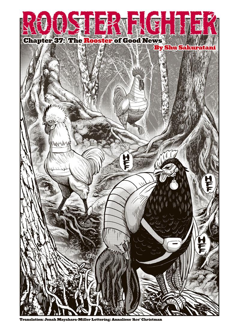 Rooster Fighter Chapter 37 - Page 1 - Rooster Fighter manga Chapter 37 manga