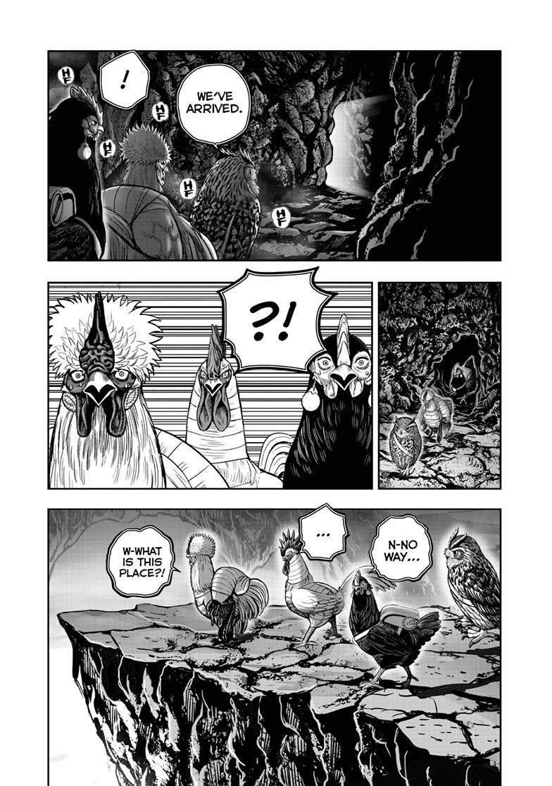 Rooster Fighter Chapter 43 10