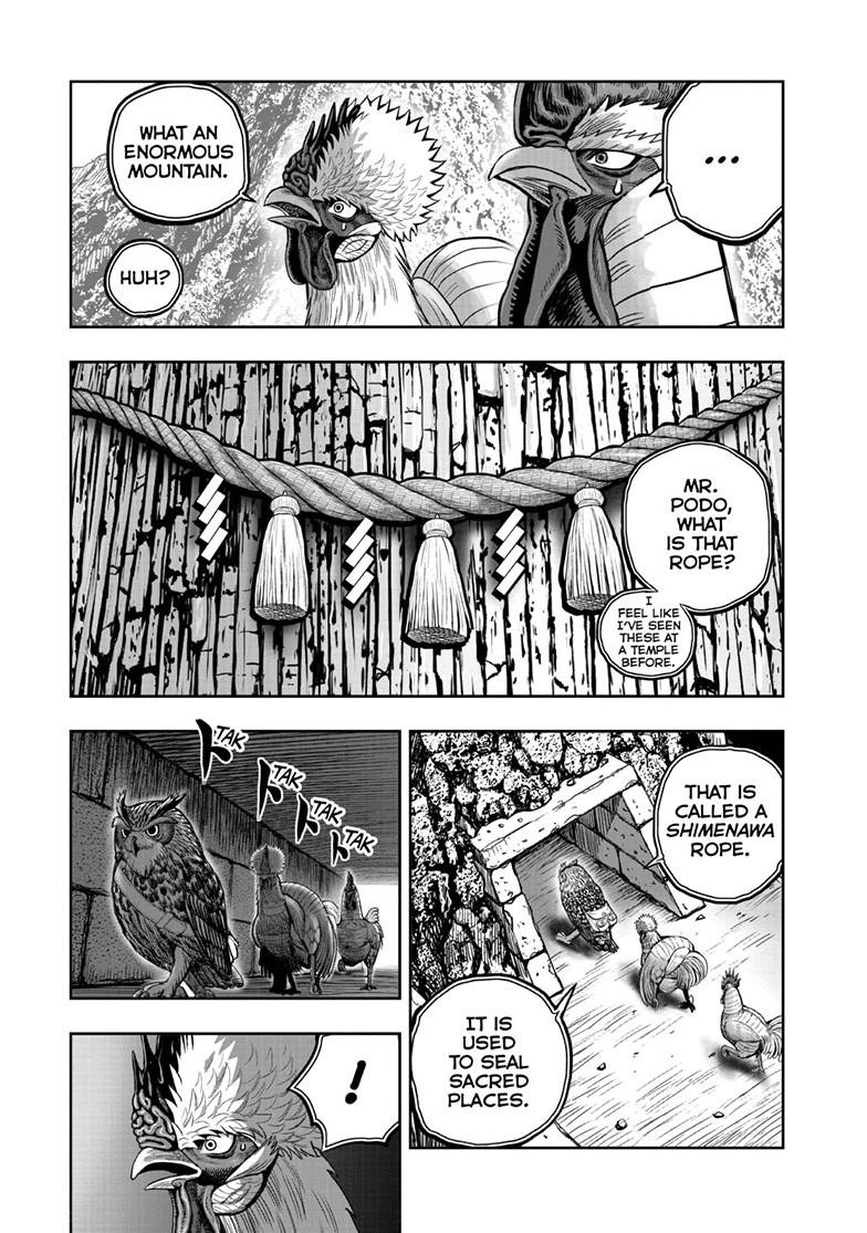 Rooster Fighter Chapter 46 16