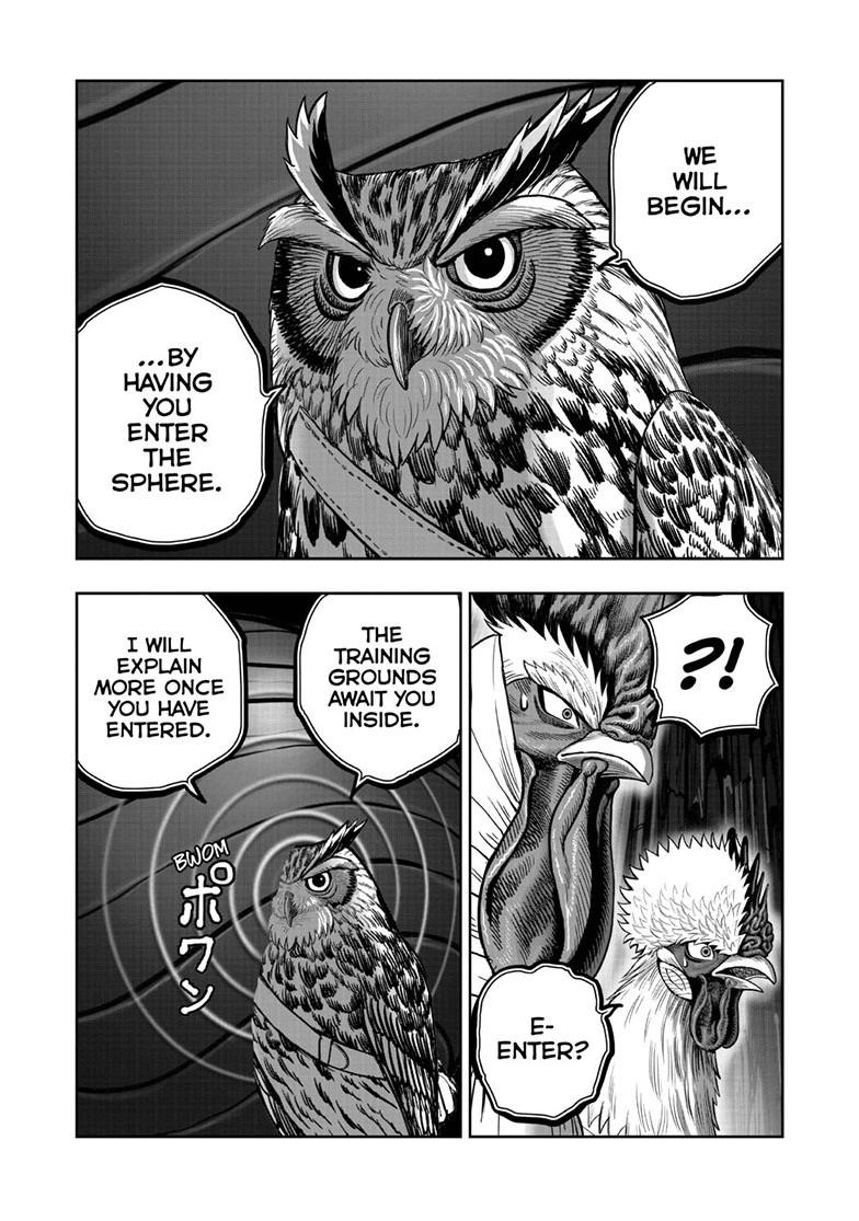 Rooster Fighter Chapter 46 25