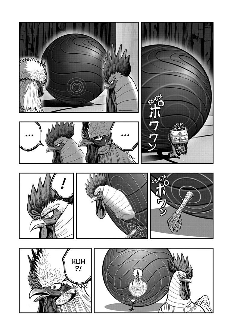 Rooster Fighter Chapter 46 26