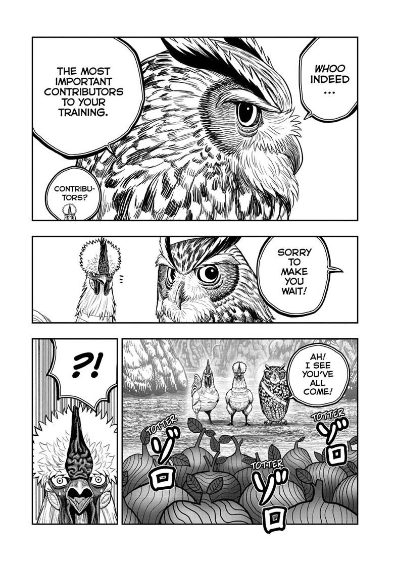 Rooster Fighter Chapter 46 32