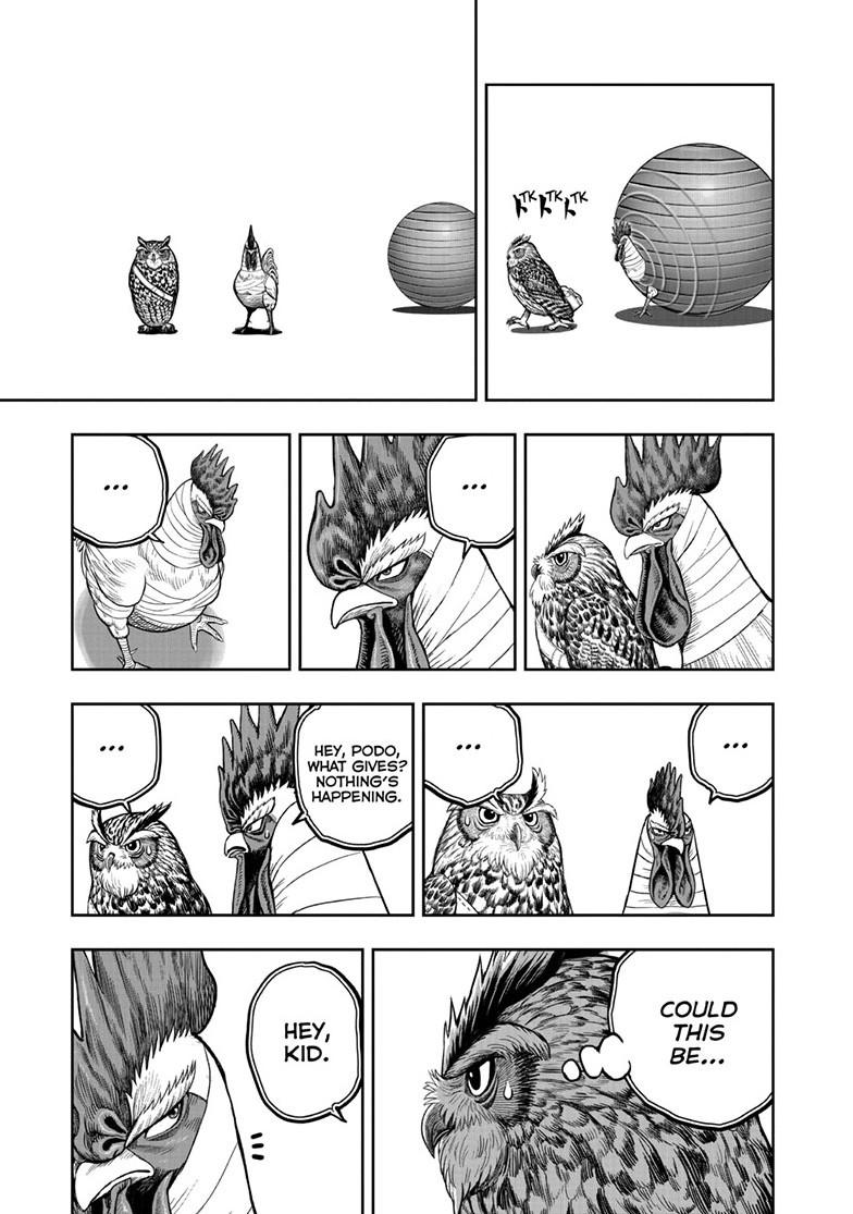 Rooster Fighter Chapter 47 10