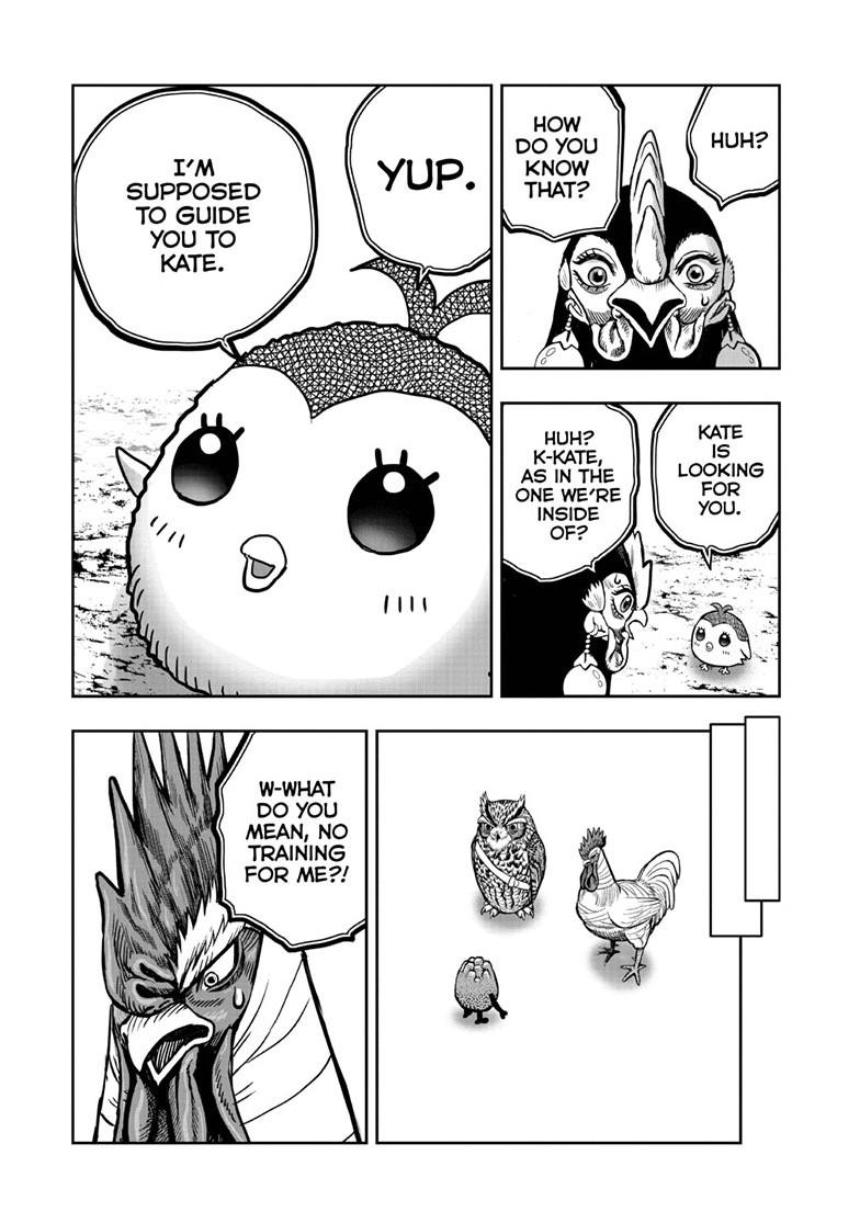 Rooster Fighter Chapter 47 16