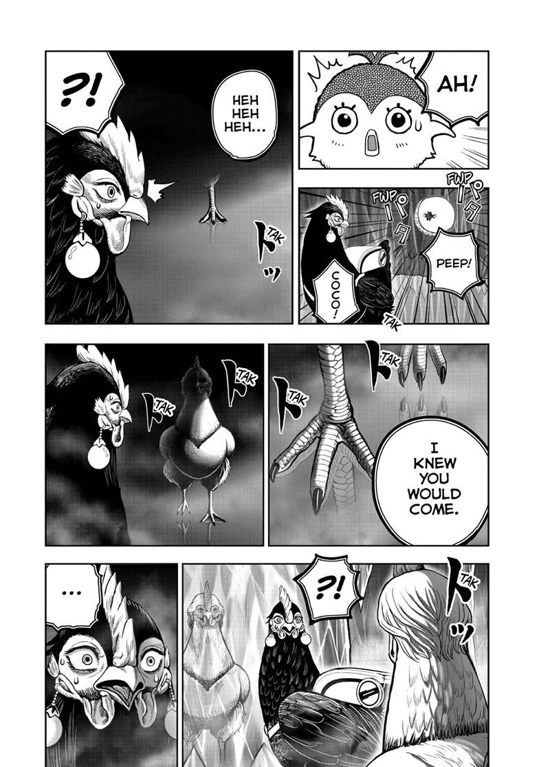 Rooster Fighter Chapter 48 18