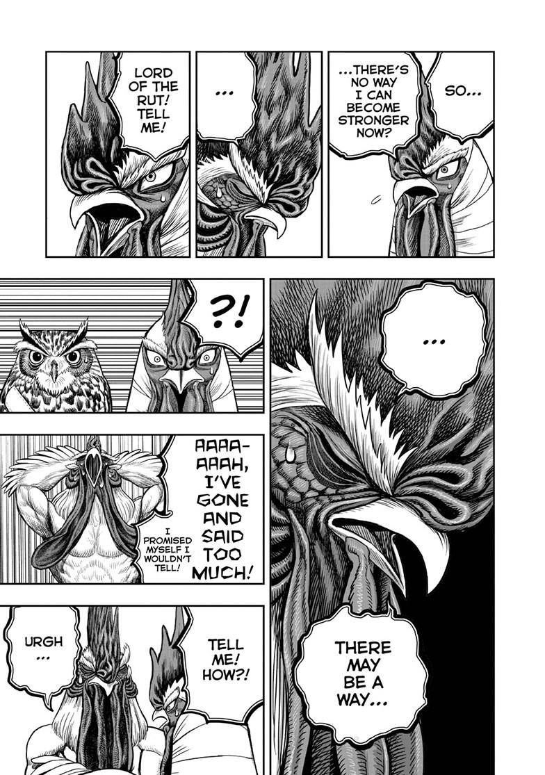 Rooster Fighter Chapter 48 22