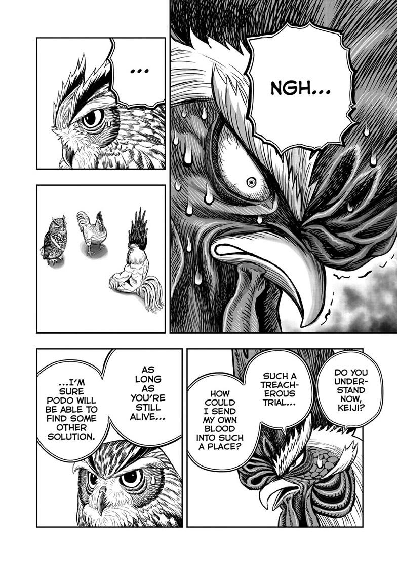Rooster Fighter Chapter 48 31
