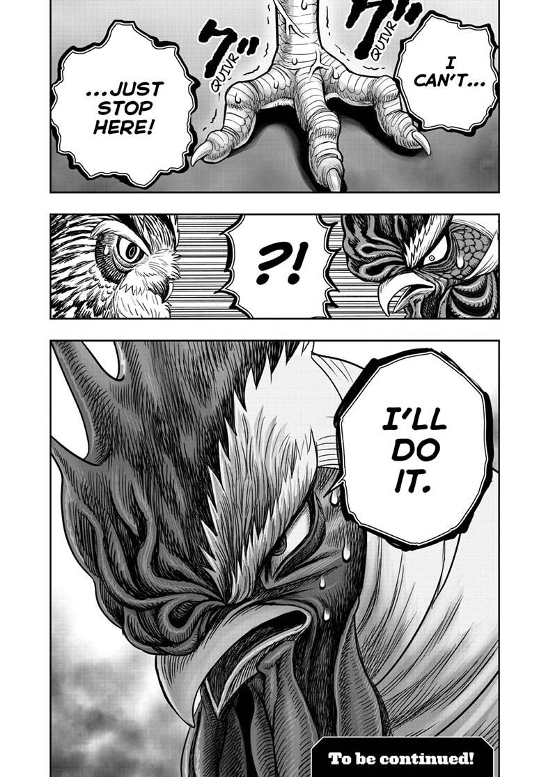 Rooster Fighter Chapter 48 33