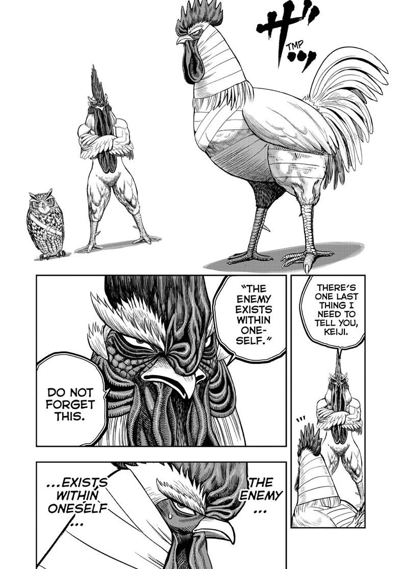 Rooster Fighter Chapter 49 5